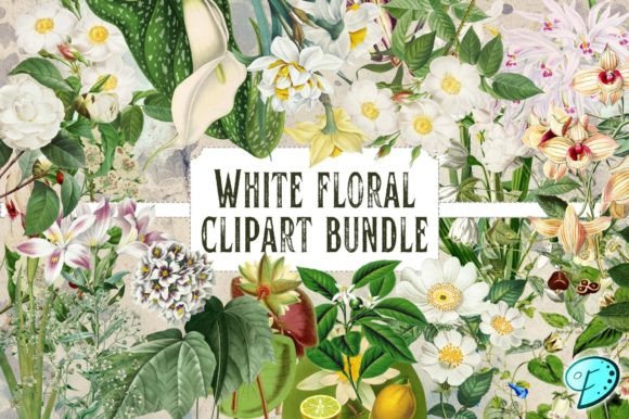 Download White Floral Vintage Clipart Bundle - Floral Collection
